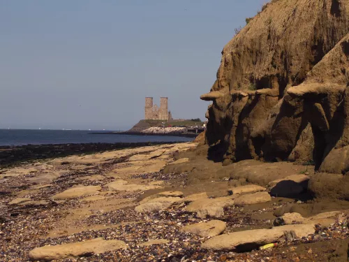 Cliffs at Reculver (G Downer)