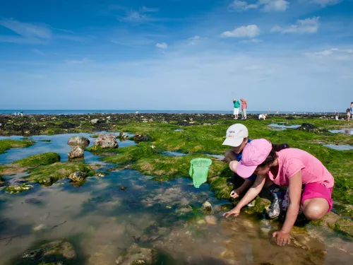 Children rockpooling