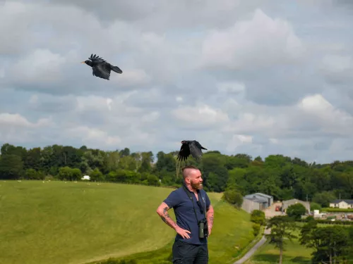 Paul Hadaway and chough