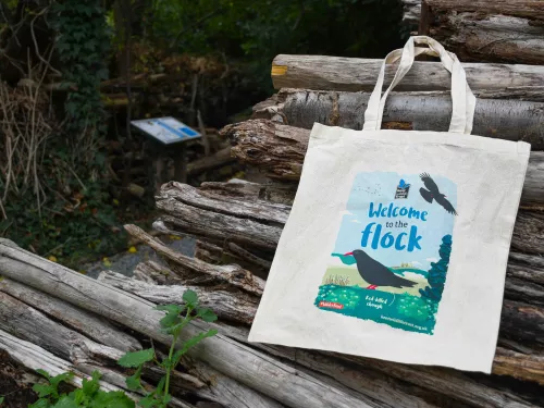 Welcome to the flock Chough tote bag