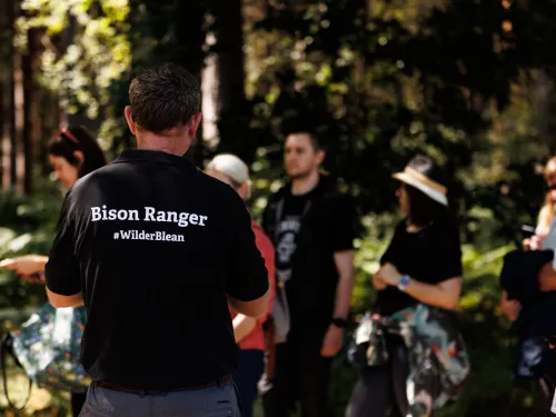 Bison Ranger at bison festival