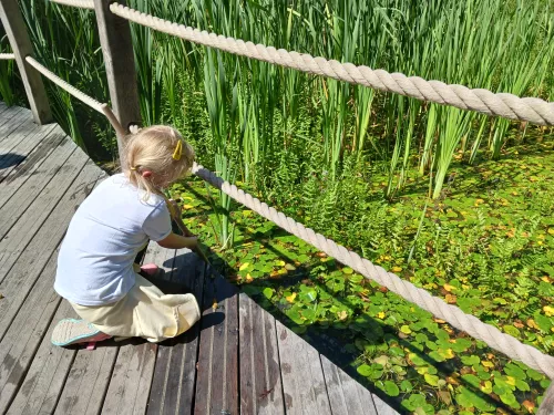 Holiday Club Tyland Barn pond dipping