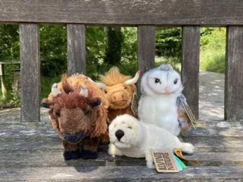 Adopt a Species plush toys, bison, highland cow, barn owl and seal