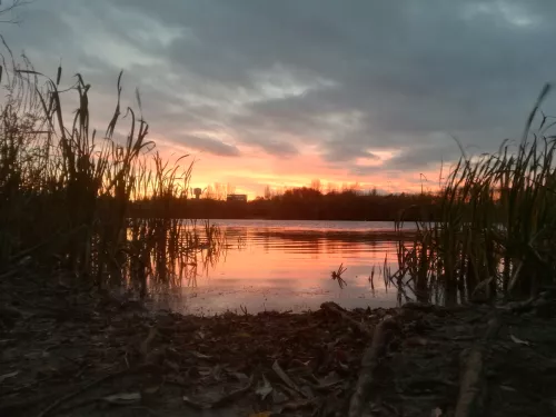 Conningbrook Lake at sunset