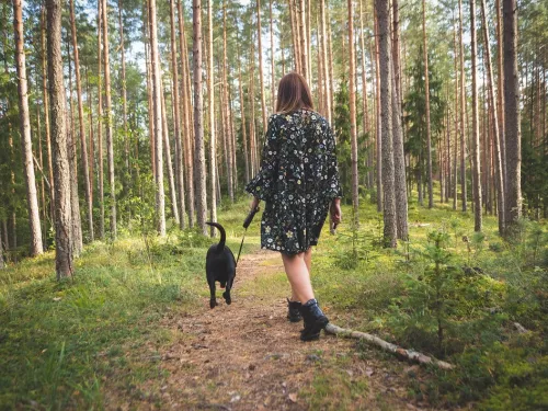 Woman wearing flowery dress walking a medium sized dark dog through a woodland on a lead