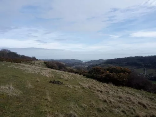 Dover downlands chalk grassland habitat