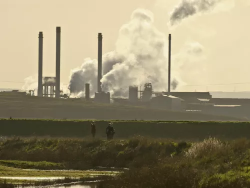 Elmley RSPB Nature Reserve