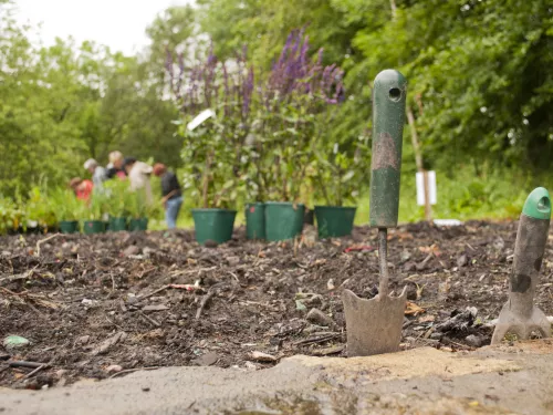 Gardening Katrina Martin