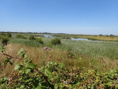 Oare Marshes - Bryony Chapman