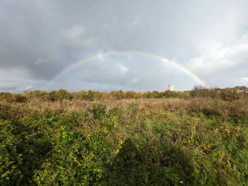 A rainbow over Dane Valley Woods