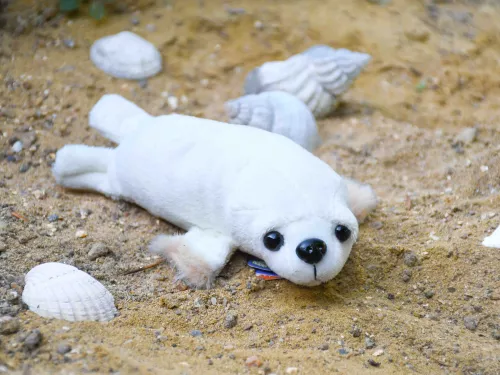 Seal - Adopt a Species Toy