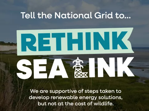 Graphical image saying 'Tell the national grid to rethink sea link' by Katy McCarten