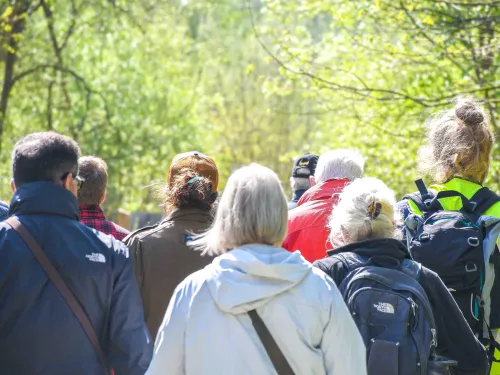 Group of people following a tour guide on a Wilder Blean Safari