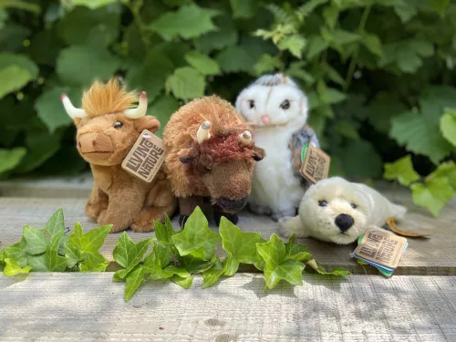 Adopt a species toys