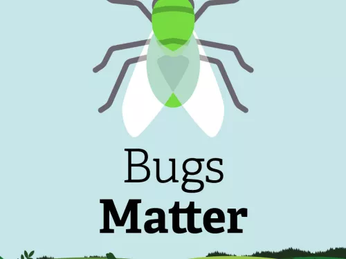 Bugs matter illustration