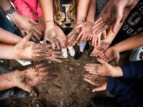 muddy hands