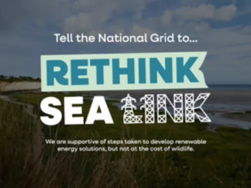 Rethink Sea Link Logo over an image of Sandwich and Pegwell Bay by Vicky Aitkenhead