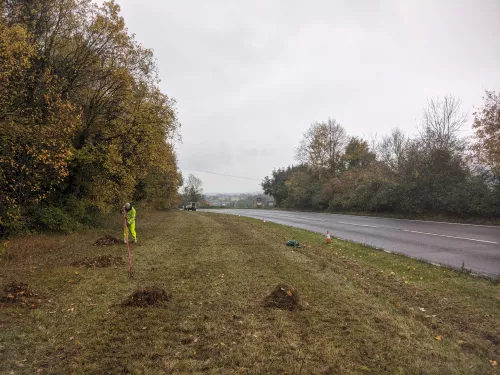 roadside verge