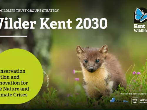 Wilder Kent 2030