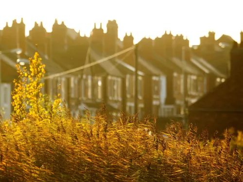 Housing and a reed bed in the sun by Ben Hall/2020VISION