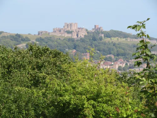 View of Dover Castle from Coombe Down Nature Reserve