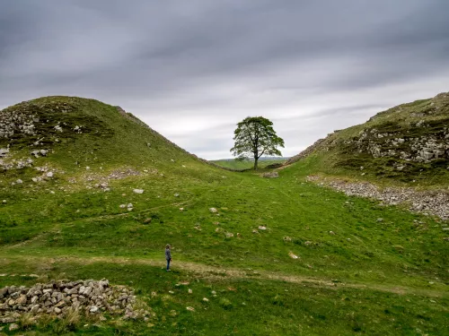 Sycamore gap