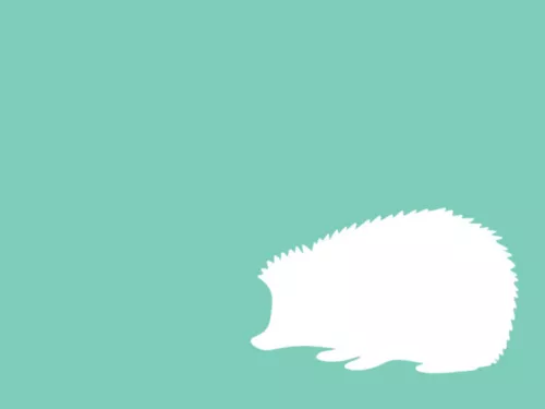 hedgehog illustration