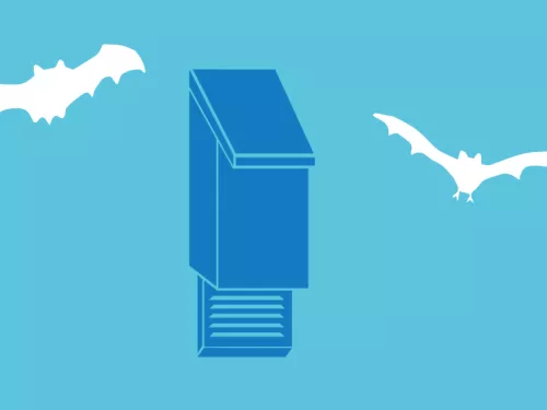 Bat box illustration with bats flying around it