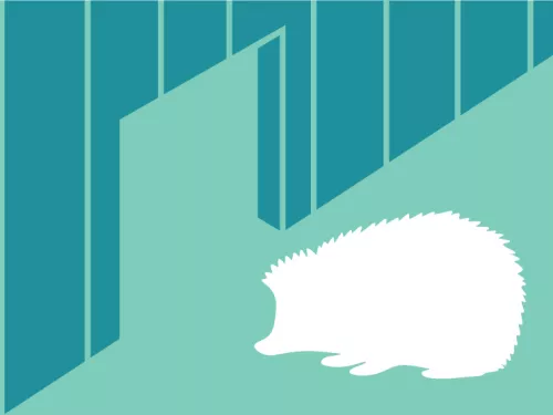 hedgehog highway illustration