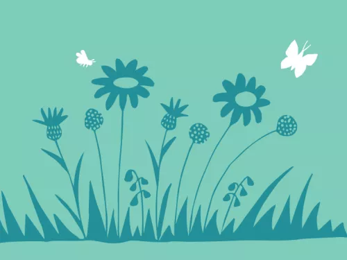 wild patch or mini meadow illustration