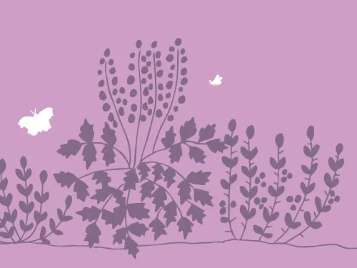 shrub garden illustration