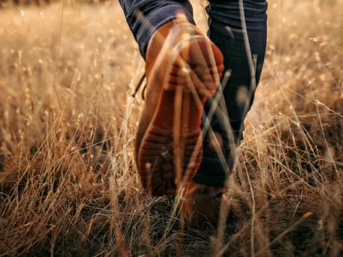 Close up of a person walking through tall, yellowed grass with tan leather walking boots