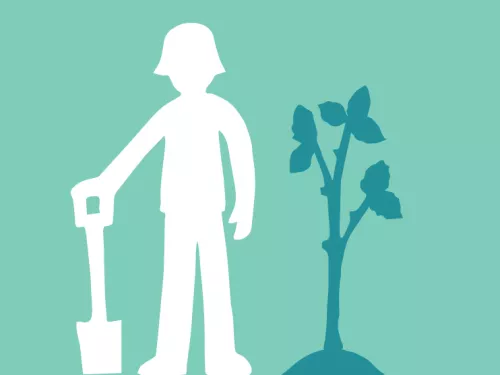 tree planting illustration