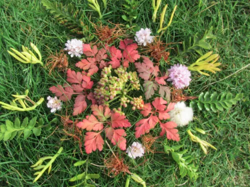 Pink and green foliage arranged on grass in a mandala pattern