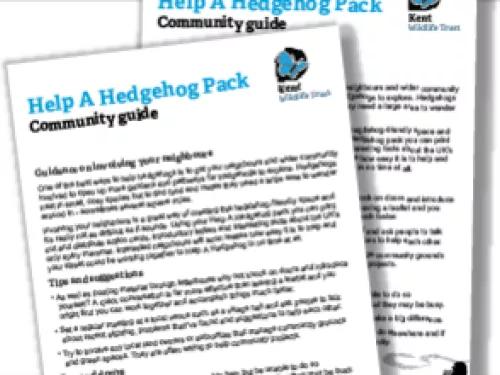 Hedgehog community guide example