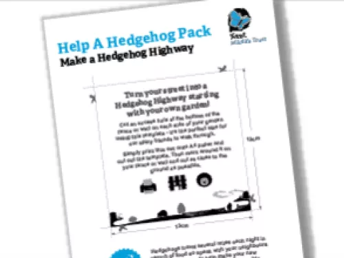 hedgehog highway information pack example