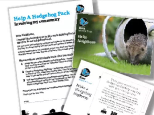 involve community help a hedgehog pack