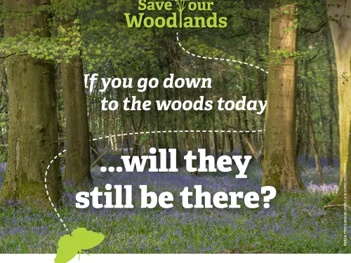 Save our Woodlands graphic