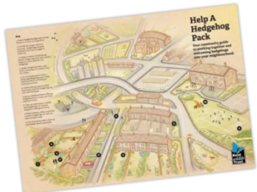 hedgehog neighbourhood map example