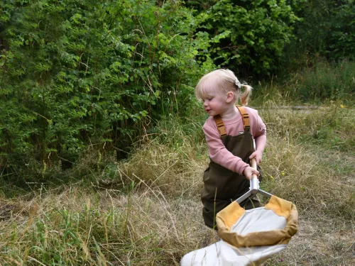 Toddler with a sweep net