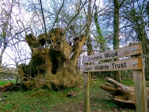 Cromers Wood Welcome sign