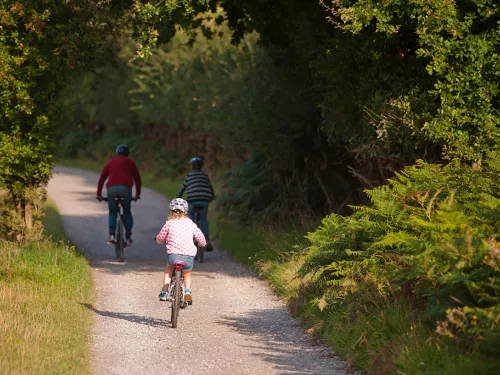 Family cycling outdoors