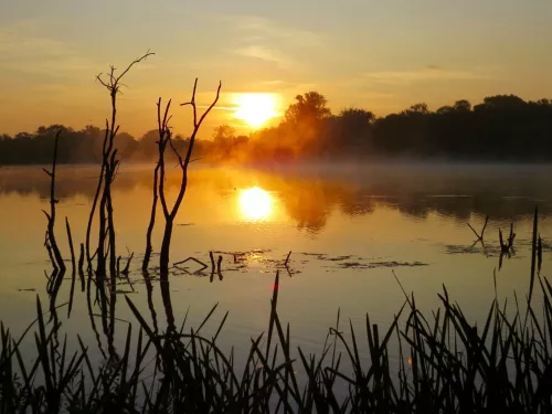 Nene Wetlands, The Wildlife Trust BCN