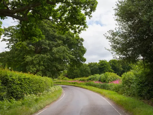 Hedgerows