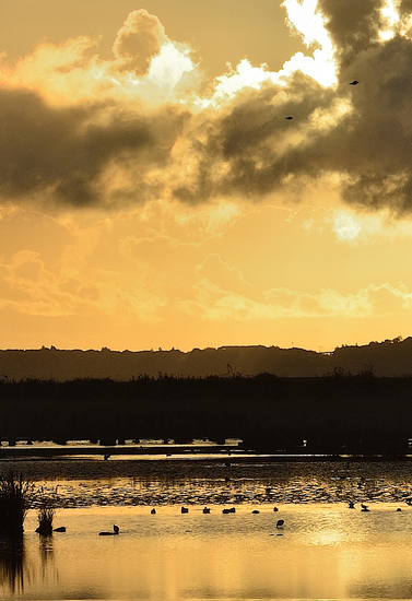 Sunset on landscape